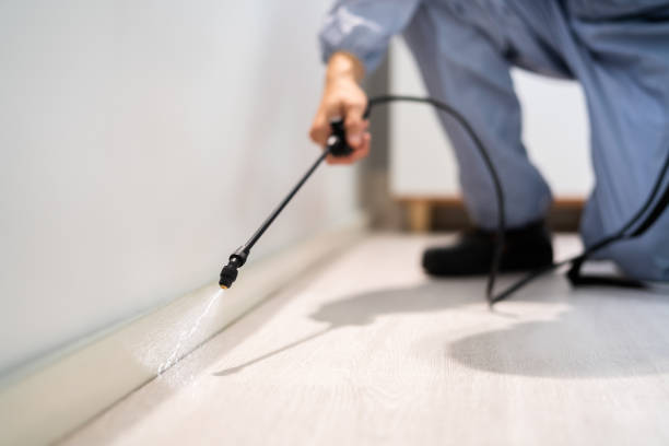 Licensed Fumigation Services service in Alexandria city County, VA - Nex Pest Control